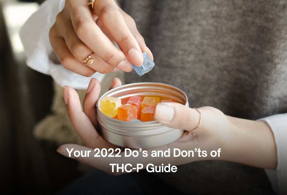 Your 2022 Do’s and Don’ts of THC-P Guide