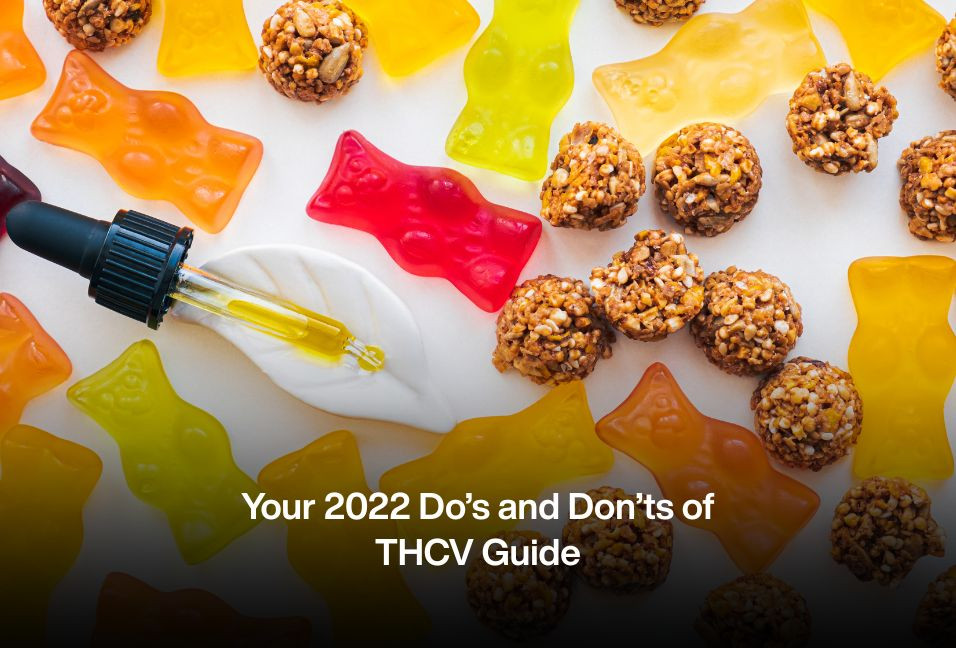 Your 2022 Do’s and Don’ts of THCV Guide