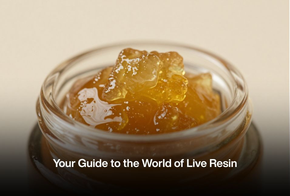 Your Guide to the World of Live Resin