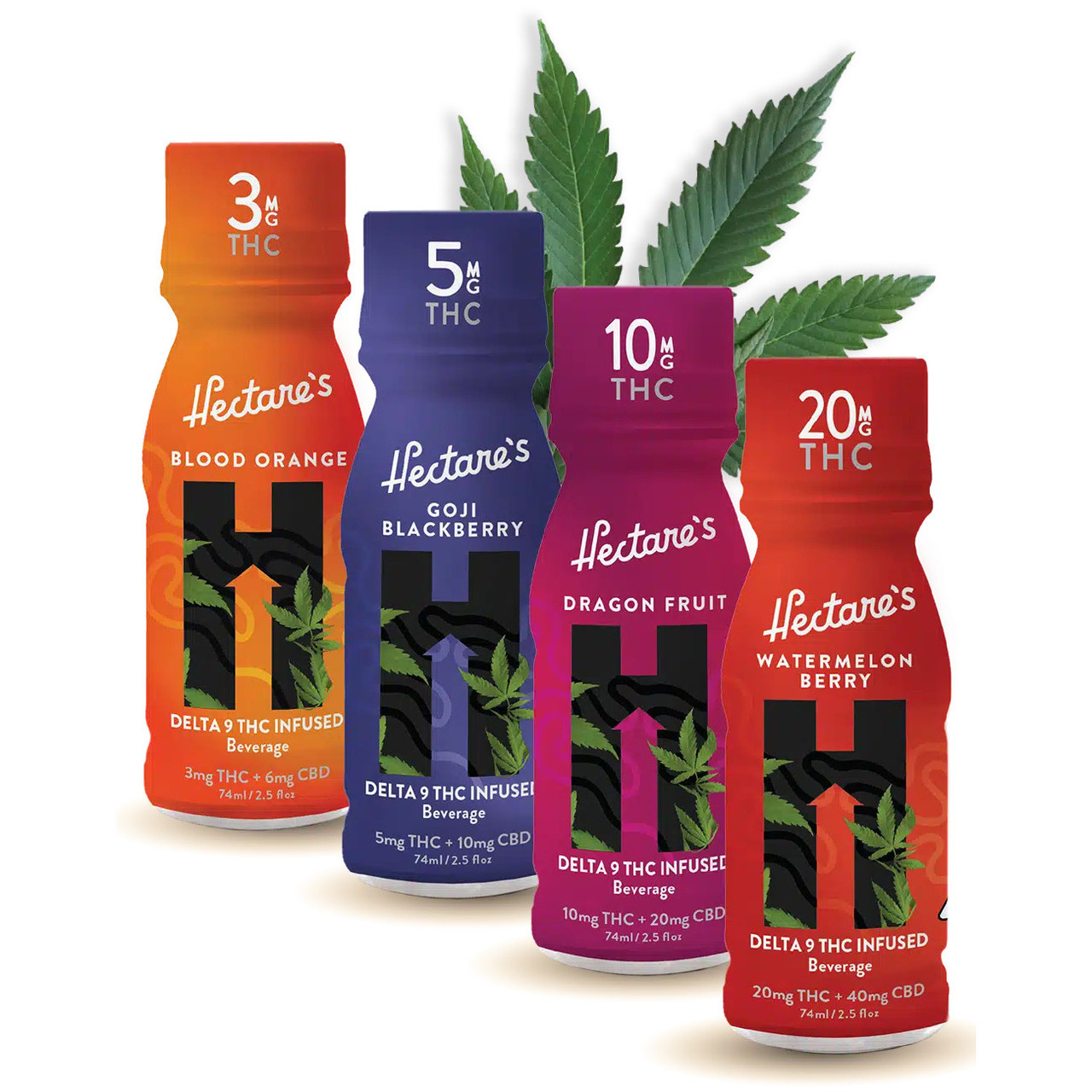 Hectare's Delta 9 THC + CBD Infused Beverage - The Calm Leaf