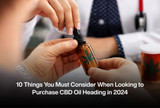 10 Things You Must Consider When Looking to Purchase CBD Oil Heading in 2024