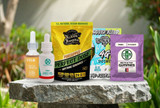 15 Best Hemp and Cannabinoid Brands to Check Out in 2024