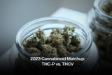 2023 Cannabinoid Matchup: THC-P vs. THCV