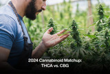 2024 Cannabinoid Matchup: THCA vs. CBG