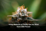 4 Key Methods to Totally Get the Most from CBD Flower