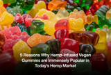 5 Reasons Why Hemp-Infused Vegan Gummies are Immensely Popular in Today’s Hemp Market