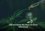 CBD and Hemp: Yes, There are Some Differences!
