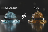 Classic Mild-Potency Matchup: Delta 10 THC vs. THCV