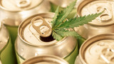 Could Cannabinoid-Infused Drinks & Beverage Actually Expire?