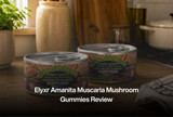 Elyxr Amanita Muscaria Mushroom Gummies Review
