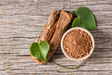 Everything You Need to Know About the “Medicinal Vine” Known as Cat's Claw