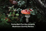 Farma Barn Fun-Guy Amanita Mushroom Gummy Review
