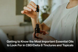Getting to Know the Most Important Essential Oils to Look For in CBD/Delta 8 Tinctures and Topicals