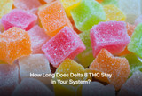 How Long Does Delta 8 THC Stay in Your System?