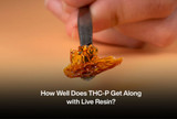 How Well Does THC-P Get Along with Live Resin?