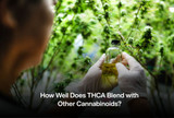 How Well Does THCA Blend with Other Cannabinoids?