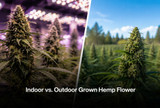 A 2023 Hemp Flower Debate: Indoor vs. Outdoor Grown Hemp Flower