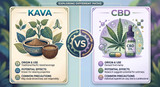 Kava vs. CBD: How Do They Measure Up Against One Another?