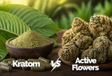 Kratom vs. Active Flowers: How Do They Measure Up Against One Another?