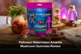 Psilonaut Watermelon Amanita Mushroom Gummies Review