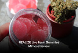 REALIZE Live Resin Gummies Mimosa Review
