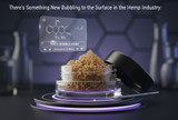 There’s Something New Bubbling to the Surface in the Hemp Industry: THCA Bubble Hash