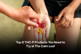 Top 8 THC-P Products You Need to Try at The Calm Leaf