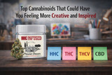 Top Cannabinoids That Could Have You Feeling More Creative and Inspired