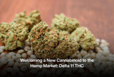 Welcoming a New Cannabinoid to the Hemp Market: Delta 11 THC 