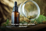 What are CBD, CBG, and CBN Tinctures?