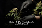What are THCA’s Potential Benefits and Side Effects?