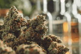 What Can Impact the Potency of a Cannabis Strain?