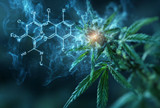 What Is HXY9 THC? Meet the Hybrid Cannabinoid Making Waves in 2025