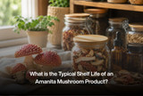 What is the Typical Shelf Life of an Amanita Mushroom Product?
