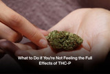 What to Do if You’re Not Feeling the Full Effects of THC-P