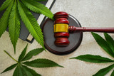 What You Need to Know About the Possible THC Ban and Law Changes