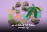 Which Delta 9 THC Edibles Should I Try?