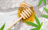 Why CBD & Honey Make a Very Sweet Duo