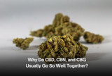 Why Do CBD, CBN, and CBG Usually Go So Well Together?