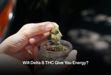 Will Delta 8 THC Give You Energy?