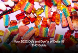 Your 2022 Do’s and Don’ts of Delta 10 THC Guide