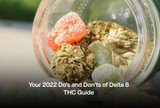 Your 2022 Do’s and Don’ts of Delta 8 THC Guide