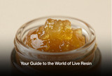 Your Guide to the World of Live Resin