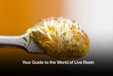 Your Guide to the World of Live Rosin