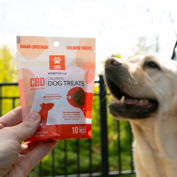 Hempzilla Broad Spectrum Hemp CBD Calming Dog Treats - With Dog
