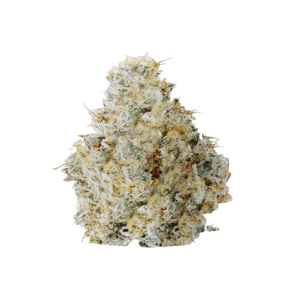 IndaCloud THCA Flower 1 Ounce - Gary Payton