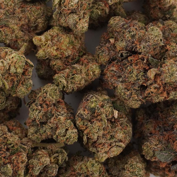 Cheddr Gouda Exotic THCA Flower - Peanut Butter Breath