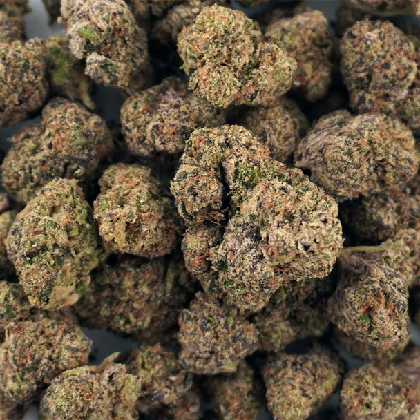 Cheddr Gouda Exotic THCA Flower - Son Of Mac