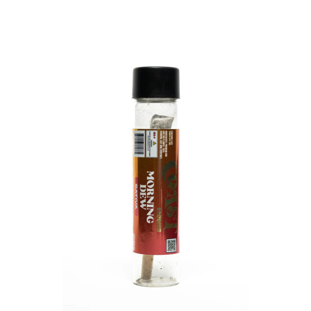 Coast Exotics THCA Diamond Tipped Preroll - Morning Dew