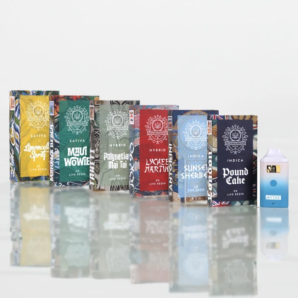 Destination deVINE Live Resin 2G Disposable Vape Pen